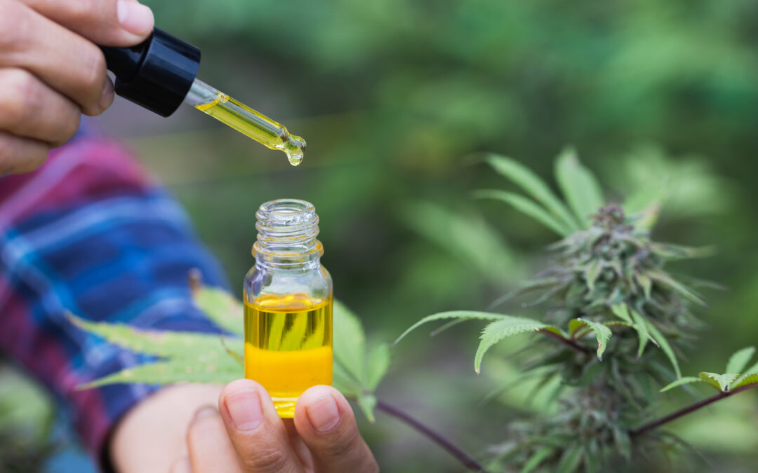 The Green Revolution: CBD’s Rise in the Hemp Industry